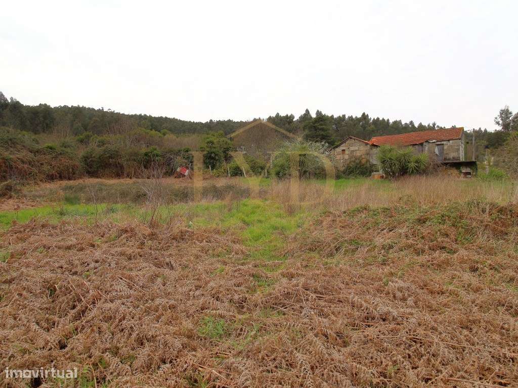 Quintinha para recuperar em Luzim Penafiel-6