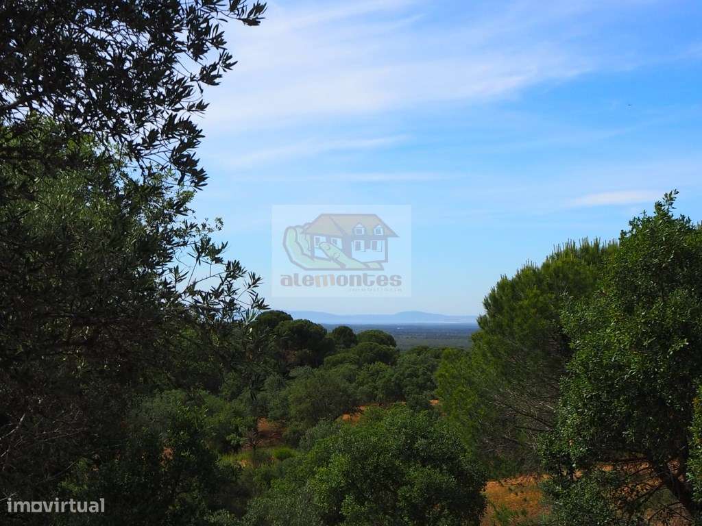 Monte Alentejano com vista mar a 10 minutos de Melides! - Grande imagem: 4/6
