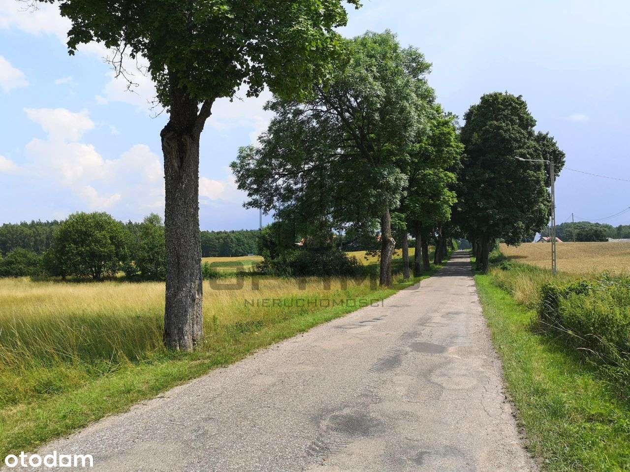 Malowniczo położona działka wśród drzew - Pełny obrazek: 5/6