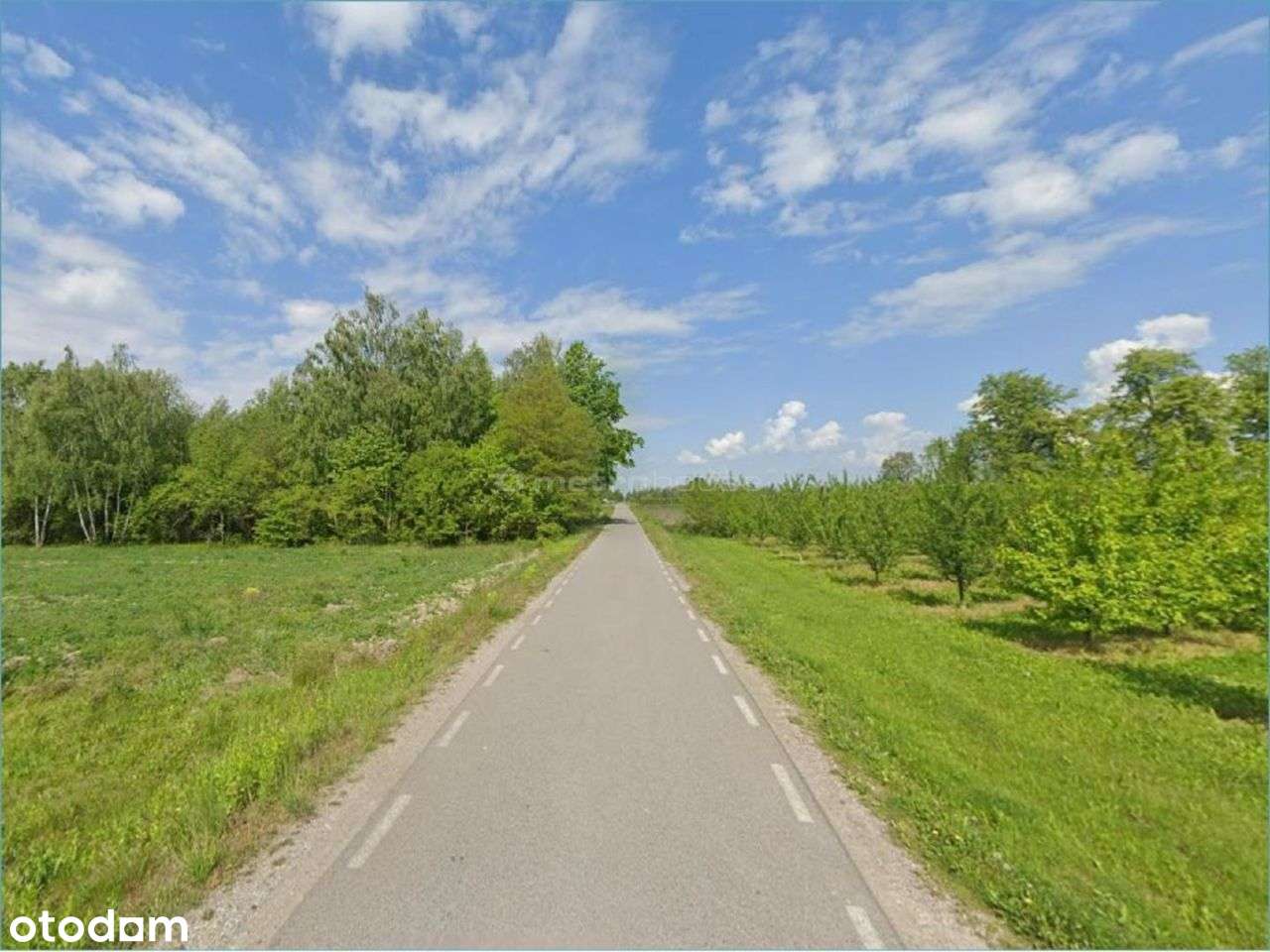 Działka siedliskowa 1,1 ha blisko trasy S8 - Pełny obrazek: 5/6