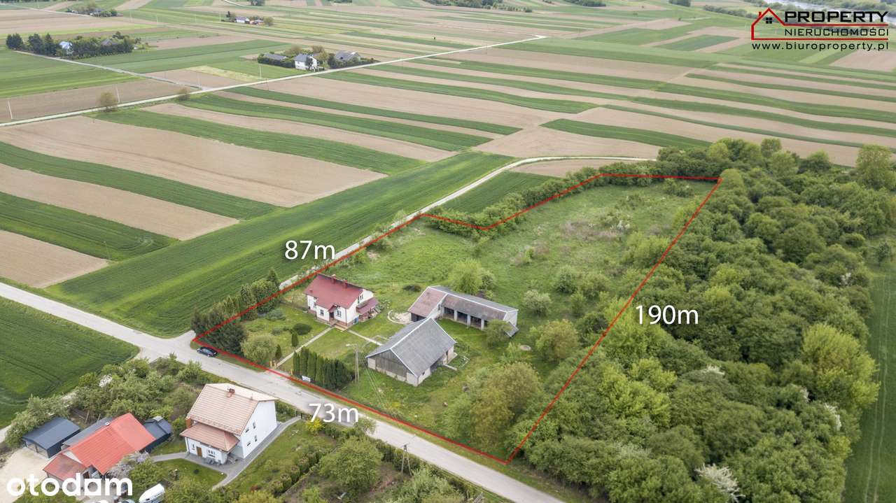 Gospodarstwo Dom 120m2 na działce 1,06ha, Podzamcze gmina Nowy Korczyn - Pełny obrazek: 4/17