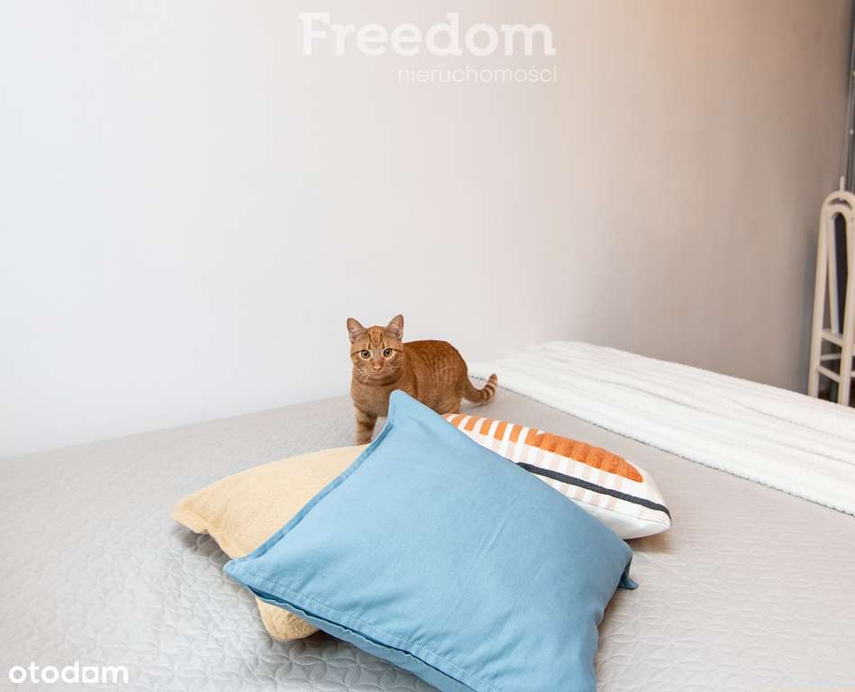 Mieszkanie 44,5m2, drugie piętro, ul. Wołyńska - Pełny obrazek: 4/11