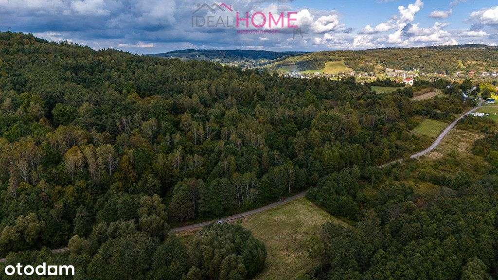 Działka budowlana w lesie - Domaradz - Pełny obrazek: 3/11