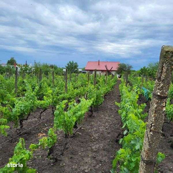 Casa + gradina Saranga - Imagine principală: 4/7