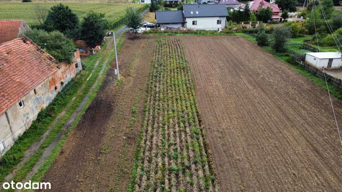 Działka budowlana 12 ar Brennik k/Złotoryi-6