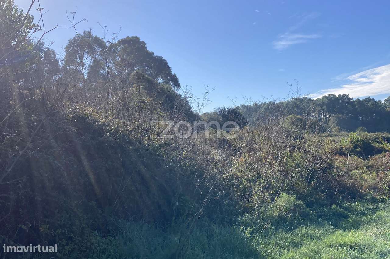 Terreno Rústico em Belinho e Mar - Grande imagem: 5/18
