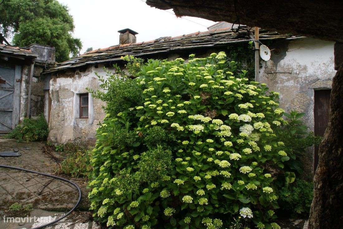 Moradia para restauro...Penafiel - Grande imagem: 4/10