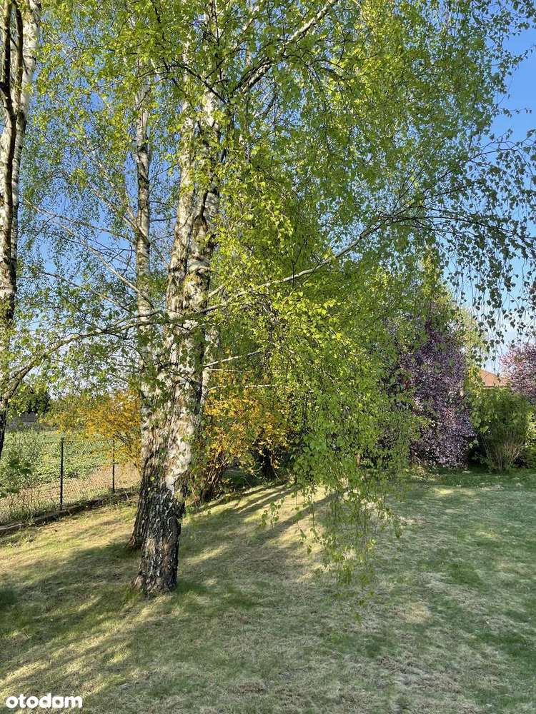 działka budowlana Marysin z pozwoleniem na budowę bezpośrednio - Pełny obrazek: 5/13