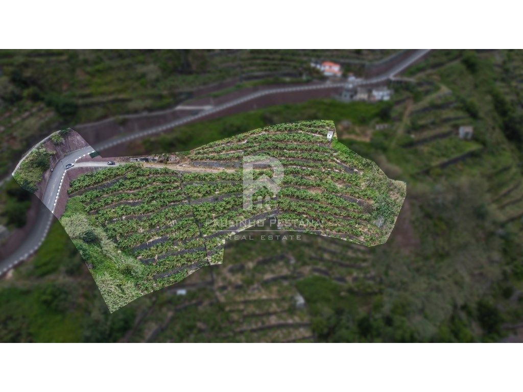 Terreno para 1ª habitaçao - Grande imagem: 1/18