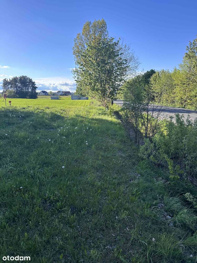 Działka inwestycyjna z wydanym pozwoleniem na budowę. - Pełny obrazek: 5/5