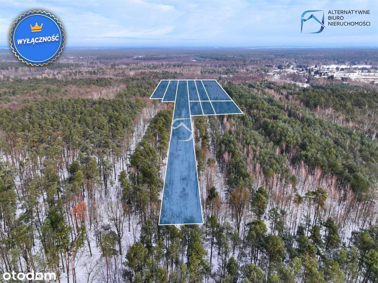 Teren inwestycyjny - Lasy Kozłowieckie - Nowy Sta - Pełny obrazek: 4/13