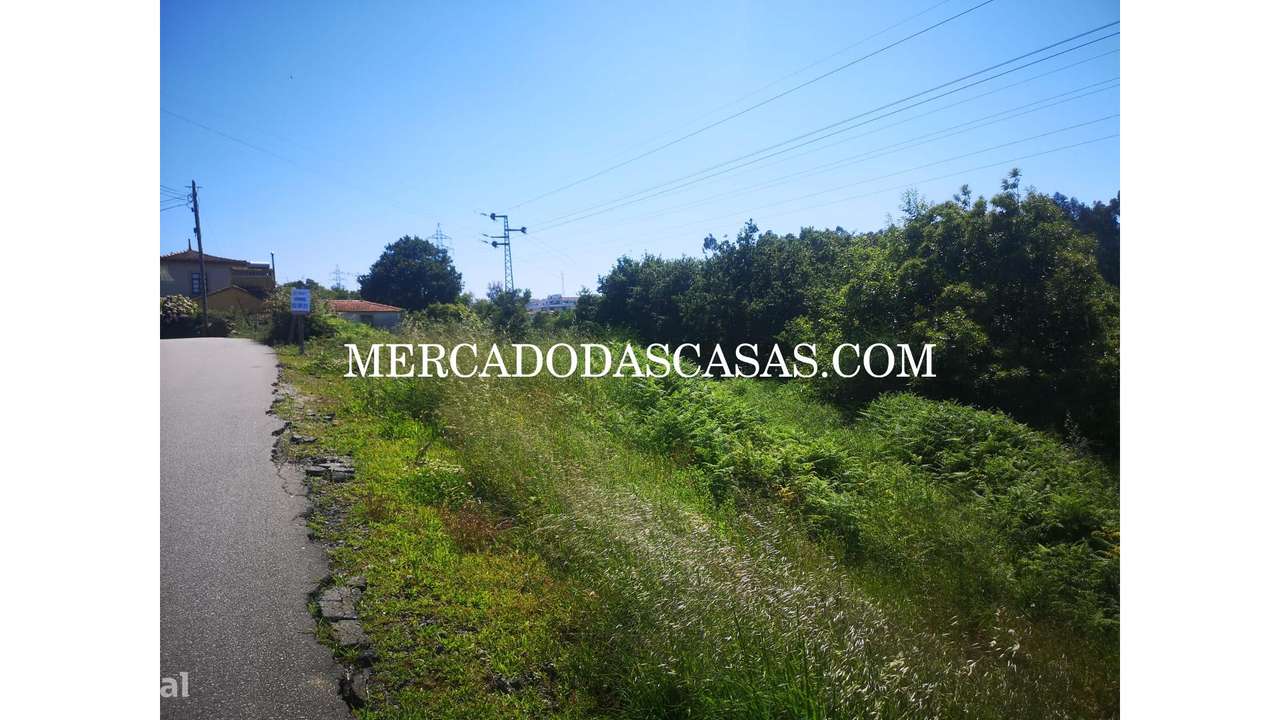 Terreno c/ 2800 m2 em São Paio Oleiros - Grande imagem: 4/4