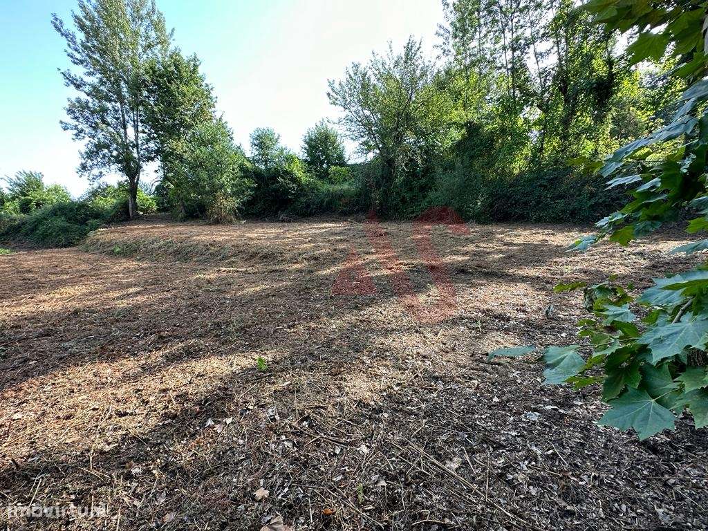 Terreno rústico com 3.585 m2 m São Jorge de Vizela, Felgueiras - Grande imagem: 4/9