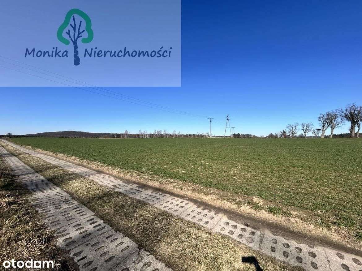 Działki z warunkami zabudowy Turze - Leśna - Pełny obrazek: 5/16