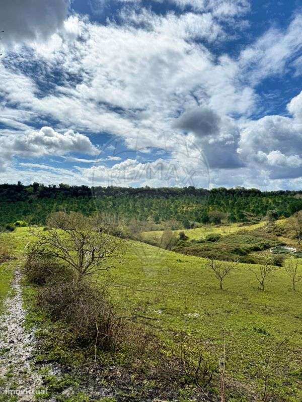 Terreno  para venda - Grande imagem: 5/11