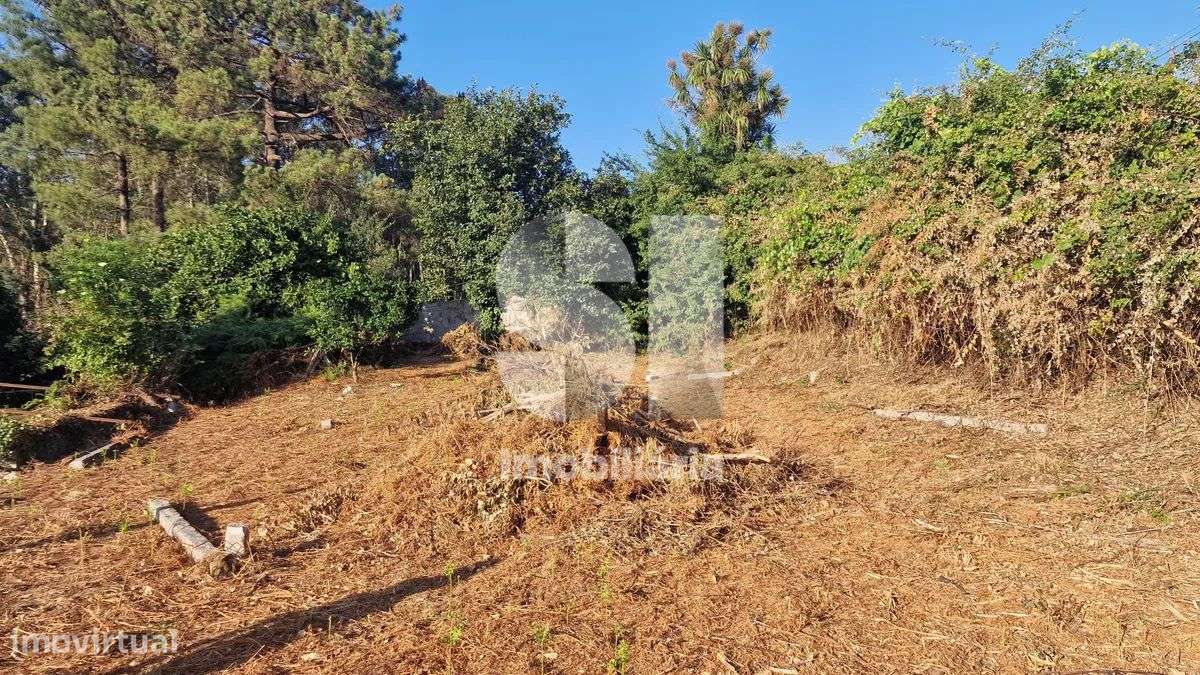 Terreno - potencial de investimento - Astromil - Paredes-39