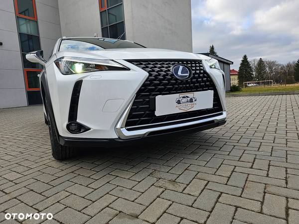 Lexus UX 300e - 12