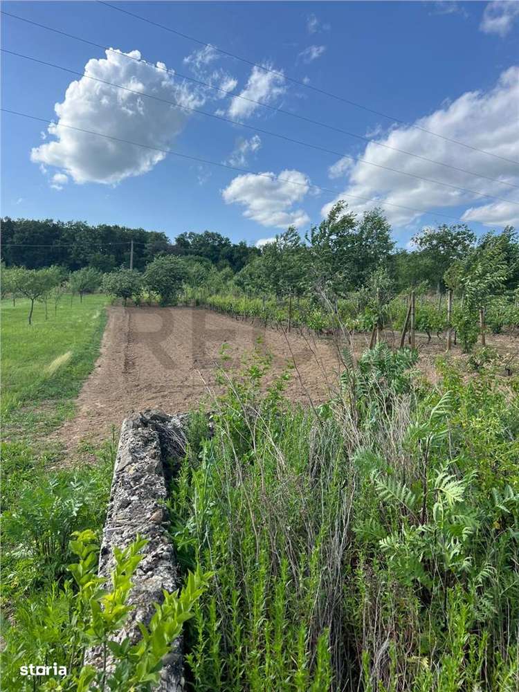 RECO TEREN CU FUNDATIE IN PETREU - Imagine principală: 1/3