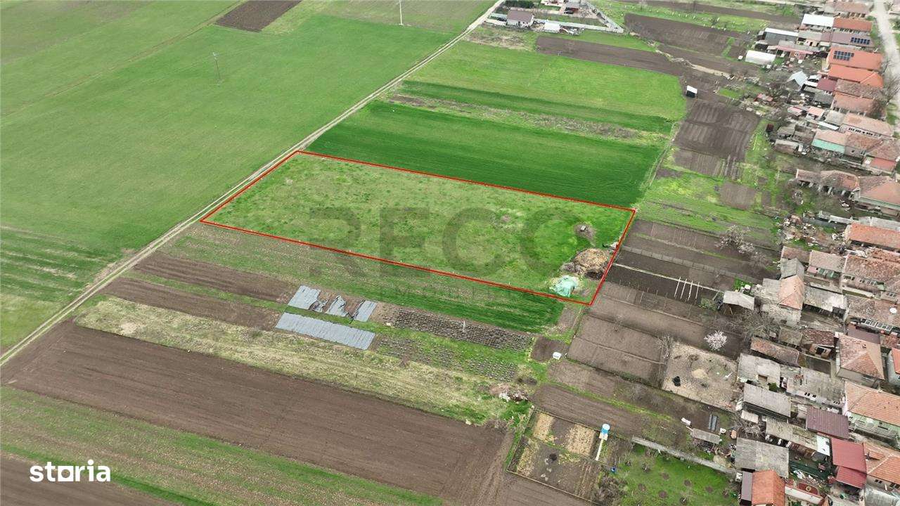 RECO Teren intravilan Girisu de Cris - Imagine principală: 2/5