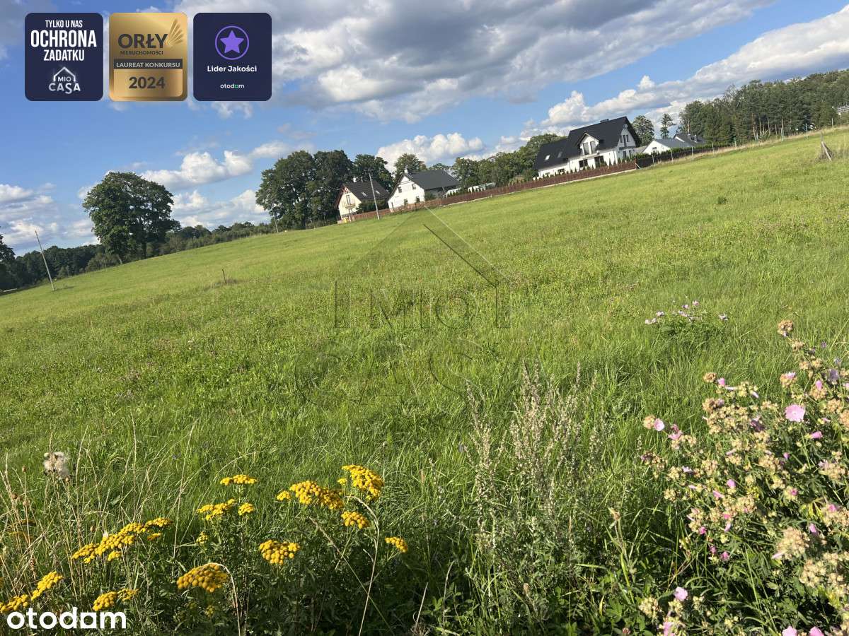 Działka położona 250m od Jeziora Puc - Kaszuby - Pełny obrazek: 2/10