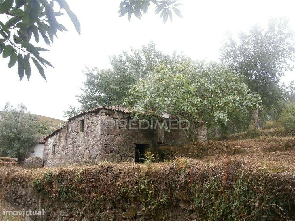 Quintinha com 2 moradias para reconstruir - Grande imagem: 4/14