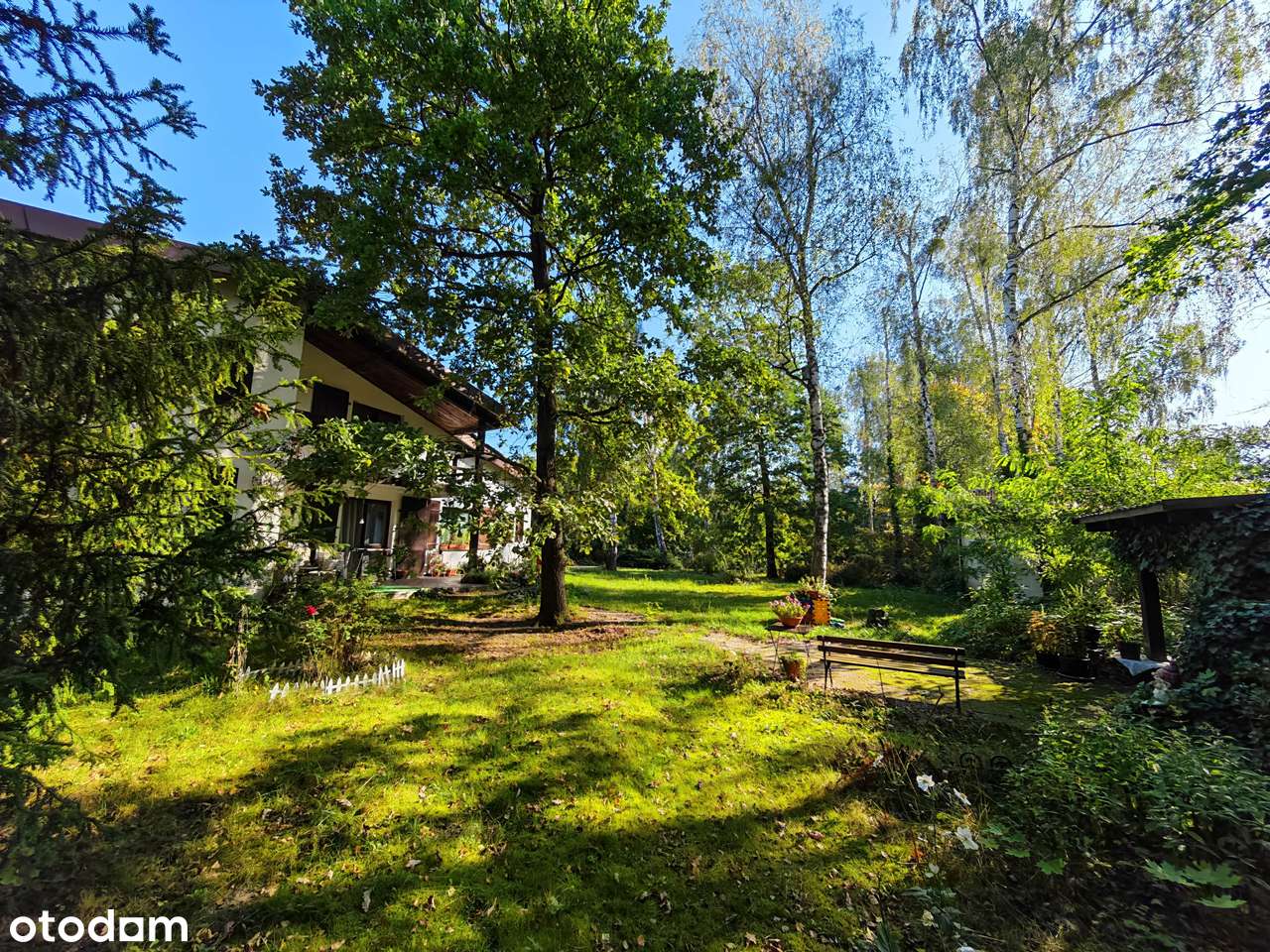 Duża zadrzewiona działka, salon wysoki na 6 metrów!-2