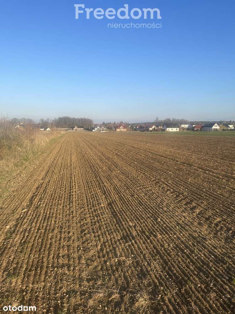 Idealna działka pod inwestycje 0,57 ha Kruszyn - Pełny obrazek: 4/5