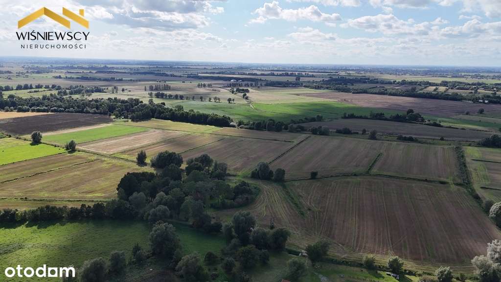 Grunty rolne 43,53 ha – okolice Zalewu Wiślanego - Pełny obrazek: 5/5