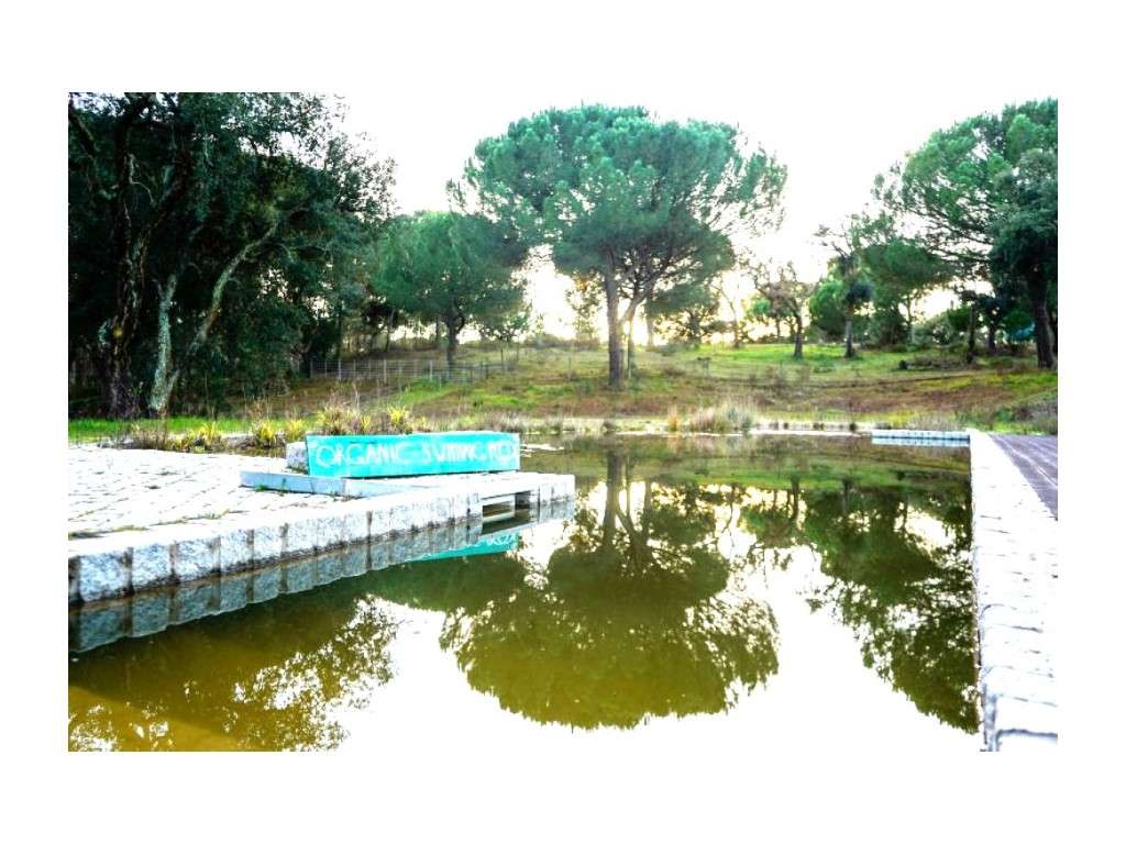 Monte Alentejano com 8,2 Hectares - Um Paraíso de Natureza e Sereni...-48