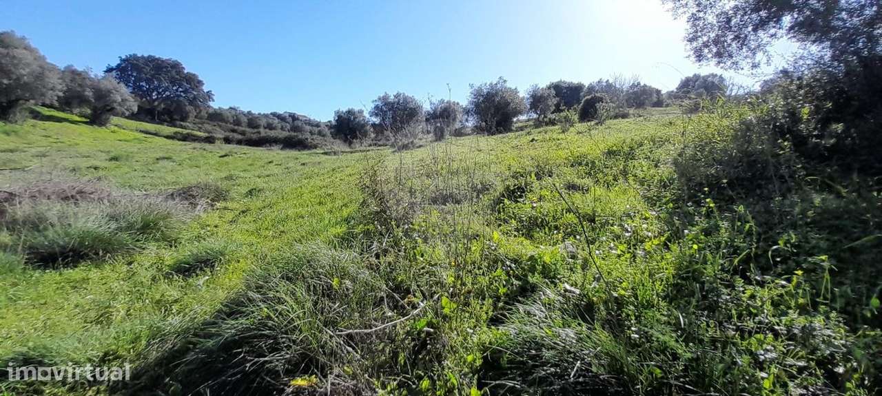 Terreno  para venda - Grande imagem: 4/10