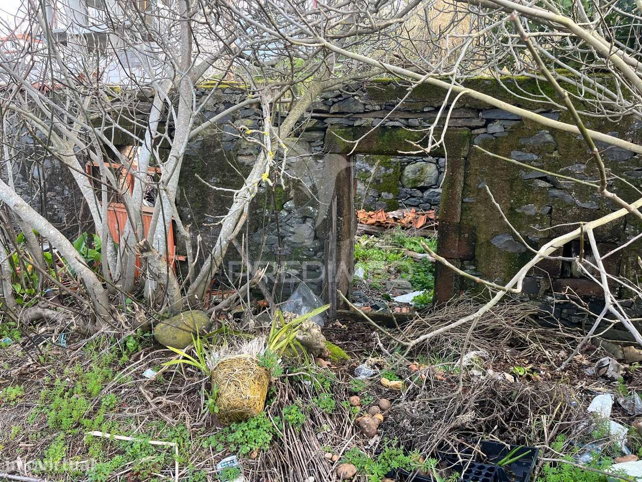 MORADIA TÉRREA E PALHEIRO COM TERRENO NA RAPOSEIRA-MADEIRA PARA REC... - Grande imagem: 5/5