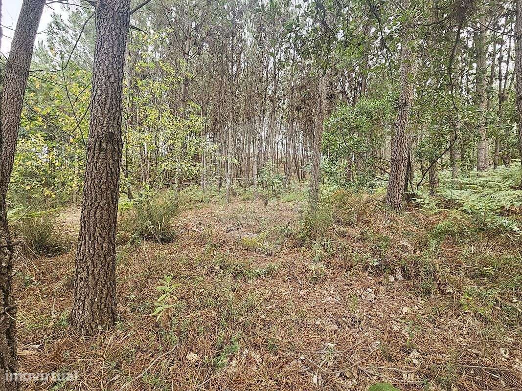 Terreno  para venda - Grande imagem: 4/11