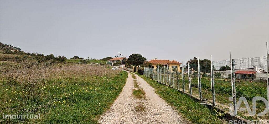 Terreno Agrícola em Mafra - Grande imagem: 4/21