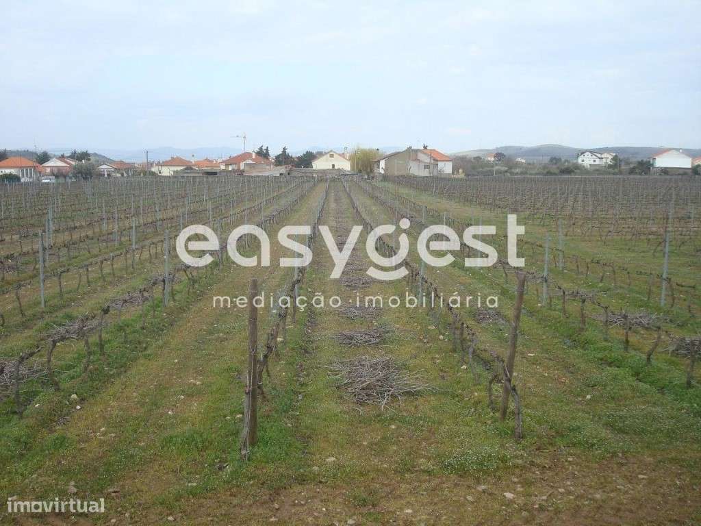 Terreno agrícola situado no douro vinhateiro Vila Nova De Foz Côa - Grande imagem: 2/30