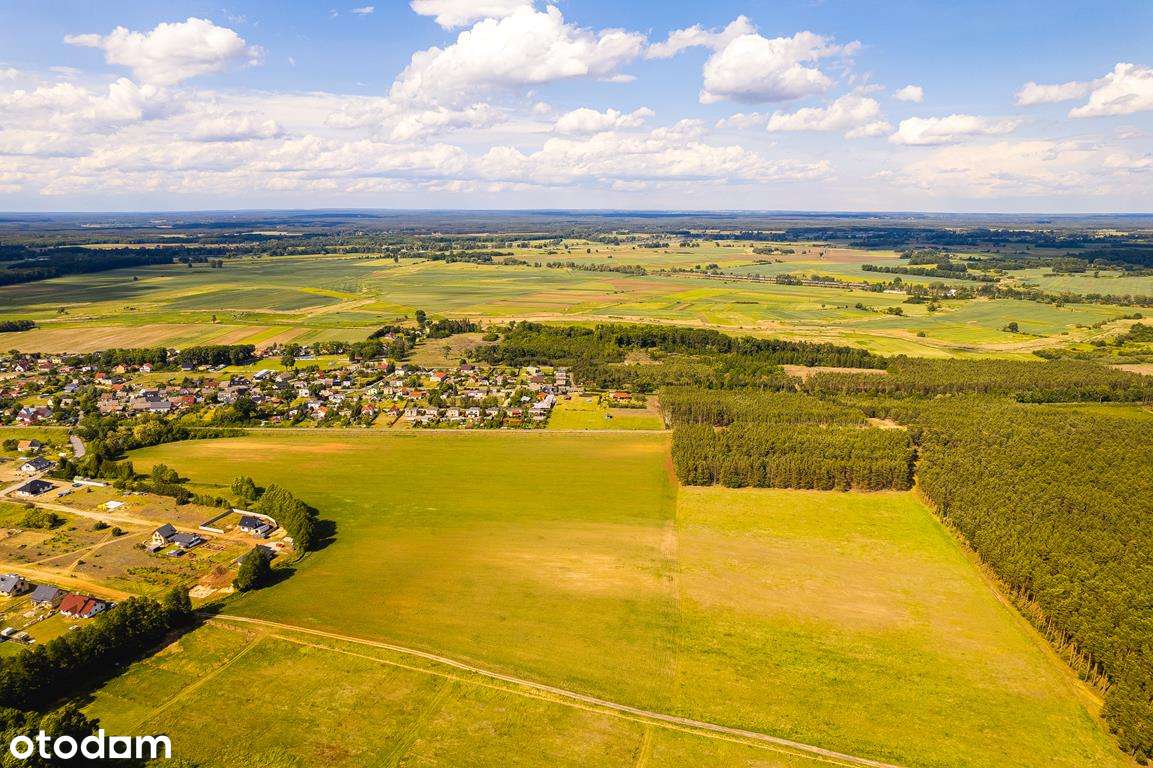Ostatnie działki w tej cenie - 11 km od Zielonej G - Pełny obrazek: 4/11