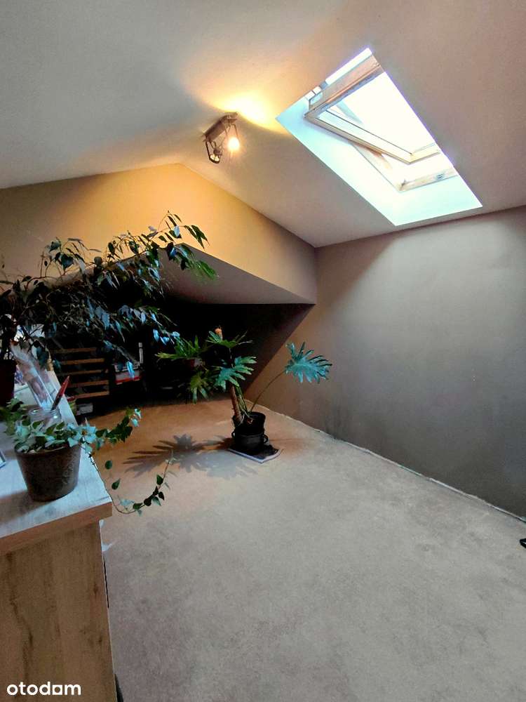 Bliźniak - Siekierki Wielkie, gm. Kostrzyn/ bisko P-ń-13