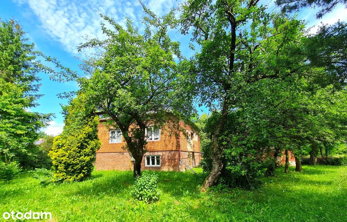 Dom DO Remontu NA Dużej Działce 17 Ar/ Haczów - Pełny obrazek: 5/11