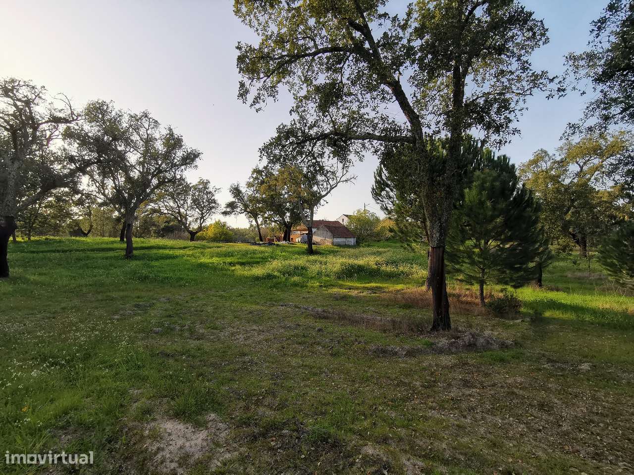 Moradia T2  Lamarosa de Coruche-34