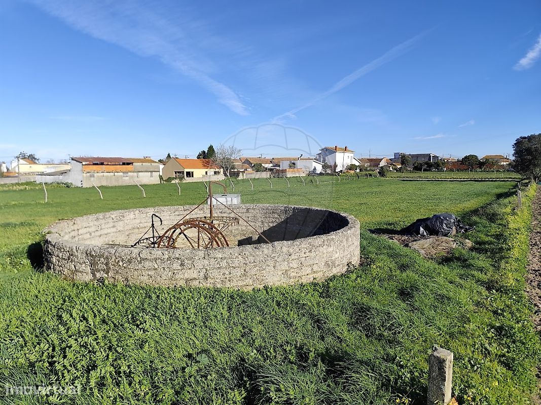 Terreno  para venda - Grande imagem: 1/3