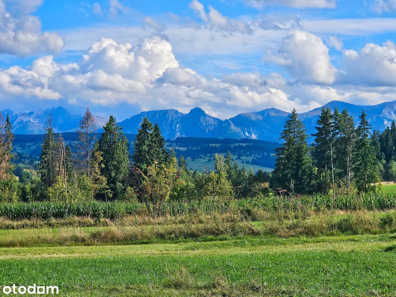 Budowlana działka z widokiem na Tatry, idealne wymiary pod dom.-0