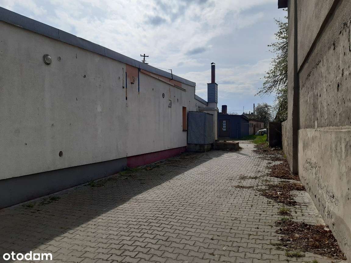 Wynajmę pawilon handlowy - 266 m2 - Pełny obrazek: 4/18