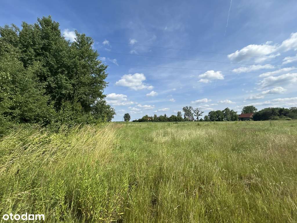 Miejscowość - Dobra. Działka wsród zieleni - Pełny obrazek: 5/12