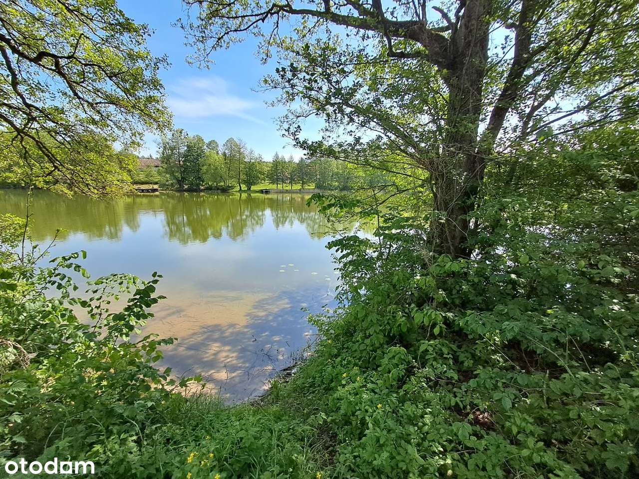 Cierzpięty, dz. 59/10, gm. Orzysz-9