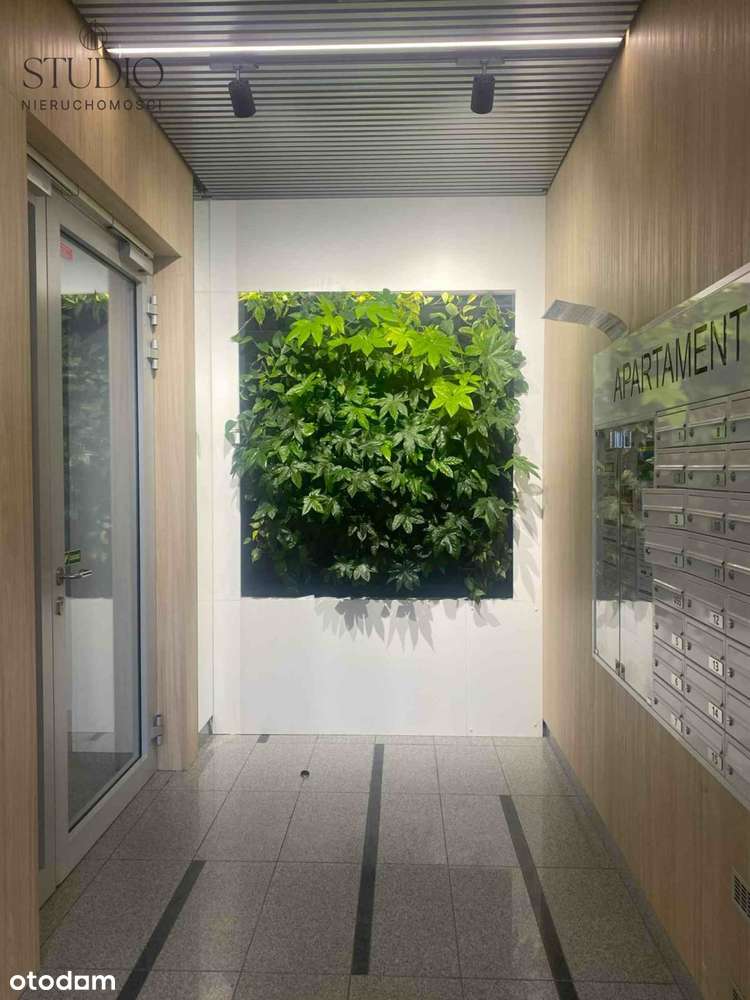 Nowe 2 pokojowe do wejścia ul. Kopernika-5