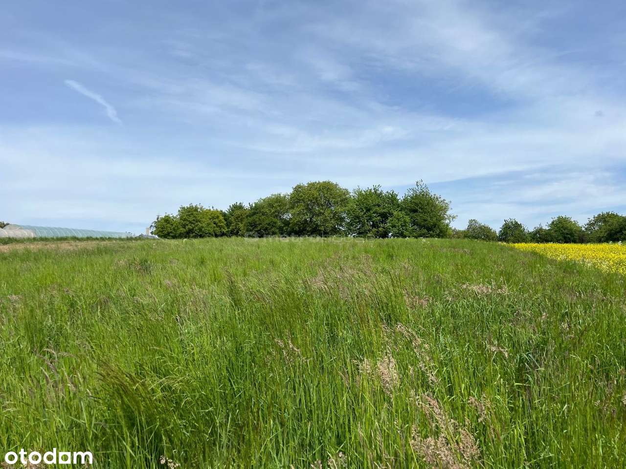 Szyce gm. Wielka Wieś, działki na sprzedaż. - Pełny obrazek: 4/11