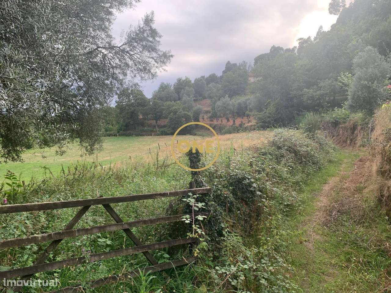 Terreno Rústico em Vieira do Minho - Grande imagem: 3/4