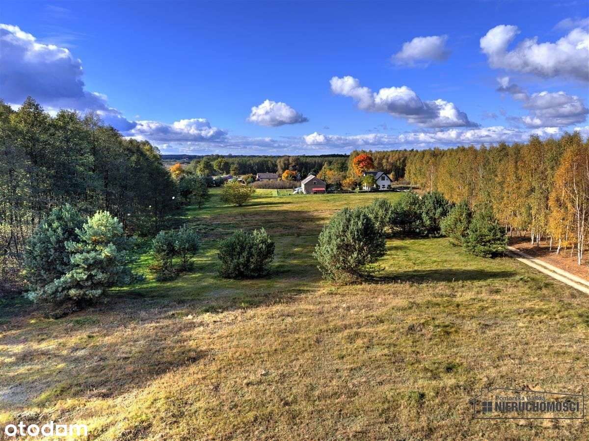 Działka pod lasem na raty - Piaseczno-6