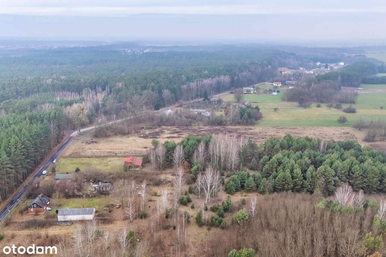 Drewniany, całoroczny dom z klimatem – cisza, las i prywatność - Pełny obrazek: 3/20