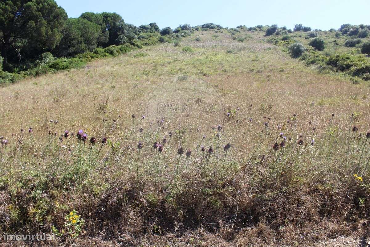 Terreno  para venda - Grande imagem: 4/22