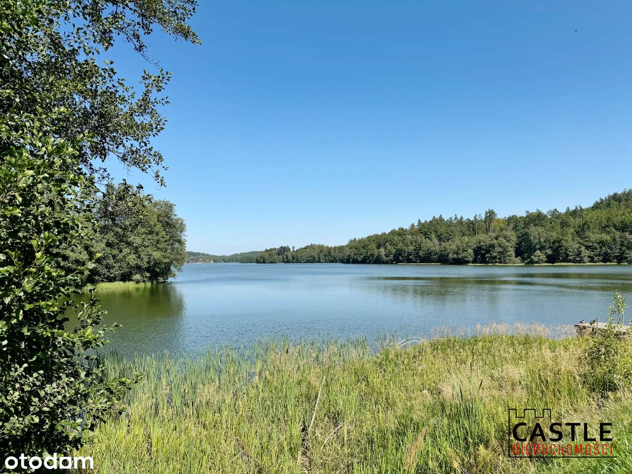 zamieszkaj pod lasem I Sulęczyno I Kaszuby I 3 jeziora obok - Pełny obrazek: 5/5